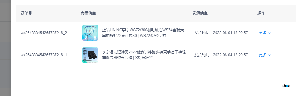 pro2.21  線上訂單發(fā)貨問題
